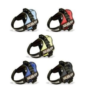 Arnés Power de Julius K9 -Talla Mini