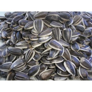 PIPAS GIRASOL ARGENTINAS 20 KG